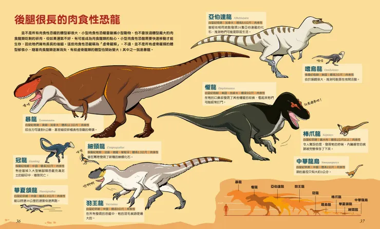 虛骨龍類恐龍的定義與介紹｜《我們是恐龍家族》｜小角落文化出版
