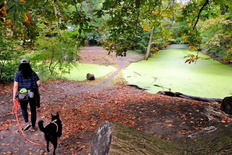 【河流草地池塘森林與沃邦城堡 ！】