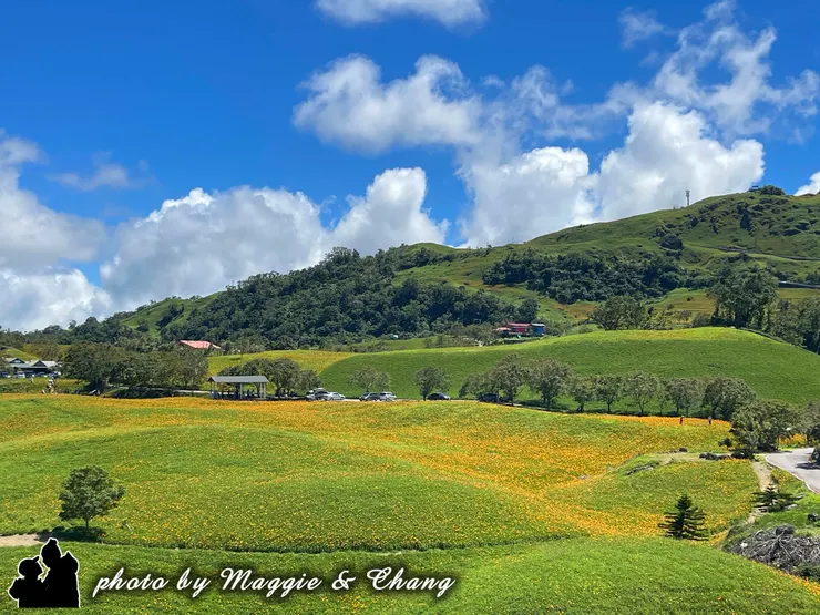 拿起相機，隨手一拍，都是夏日最溫暖的畫面