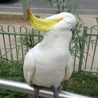 你不理財⊙⊙才不理你