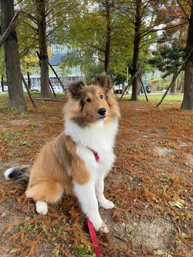 Ewan在一片突然找到的草地中