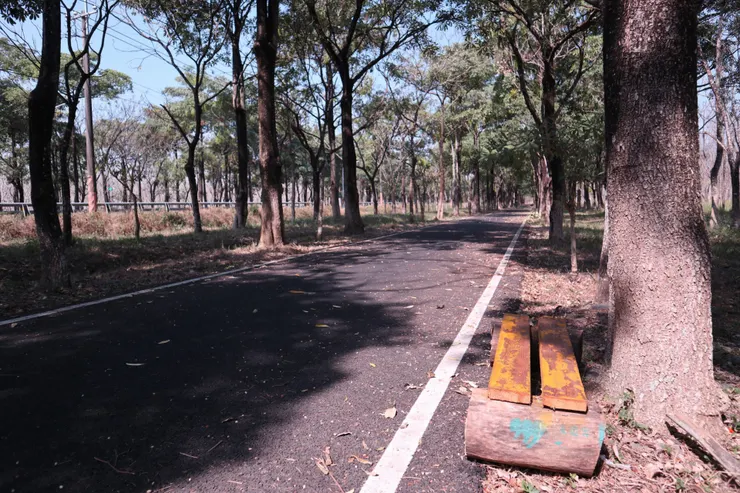 自行車道旁用木頭做的簡單椅子