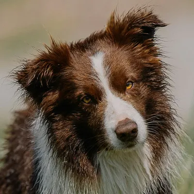 上課用帳號的沙龍