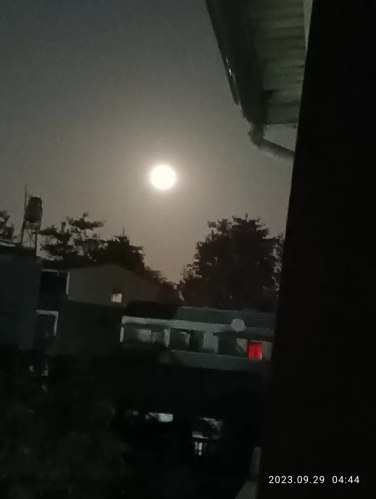 夜醒尋她終也見，陽台上自拍攝