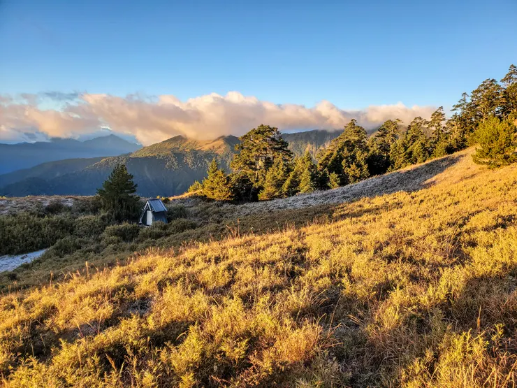 昨晚一夜寒氣，山坡上長出一片霜