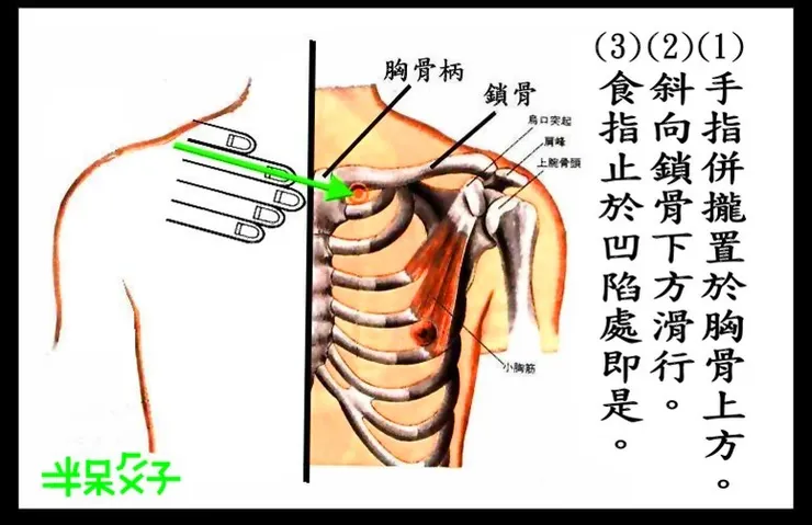 圖片來源：半呆鬍子