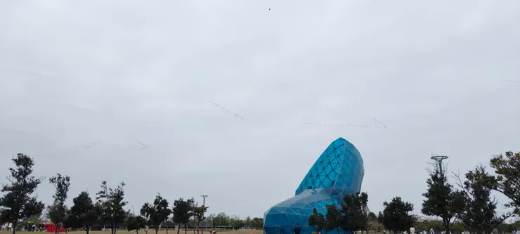 在高跟鞋上飛翔的鳥兒隊伍