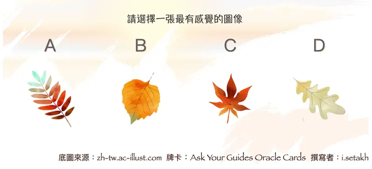 如果不知道該如何選擇，可以閉上眼睛，睜開的第一眼看到的就是嚕 🍂