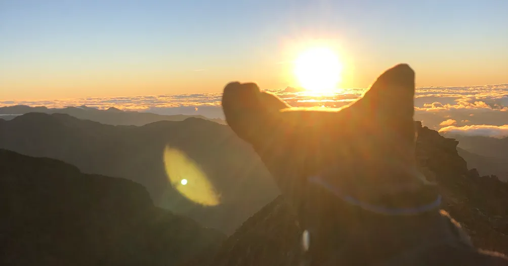 🌊嗚咪桑☀️的命理深夜小食堂㊙️