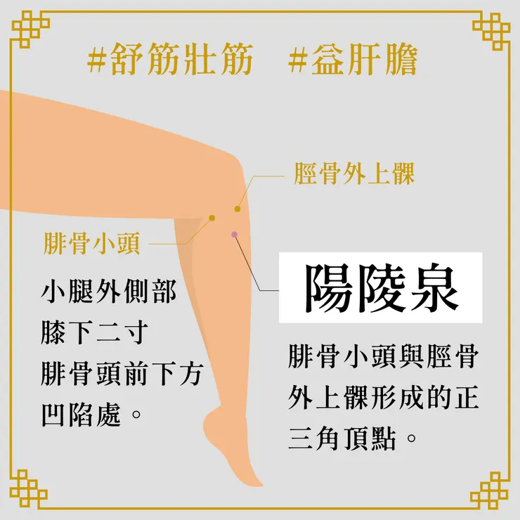 陽陵泉穴道說明圖