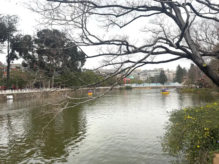 遙想西南聯大時代的翠湖