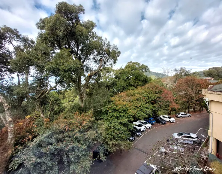 ▲台中「大雪山國家森林遊樂區」/圖片來源：Betty's Jump Diary