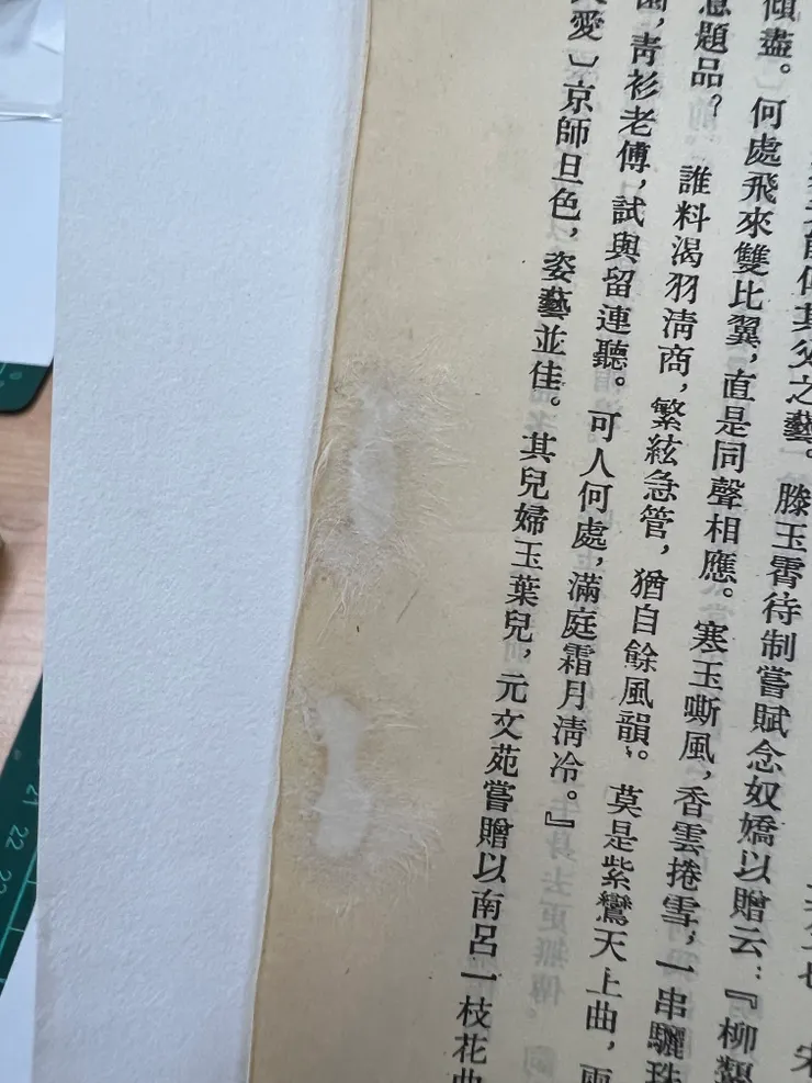 使用楮皮紙修復破洞