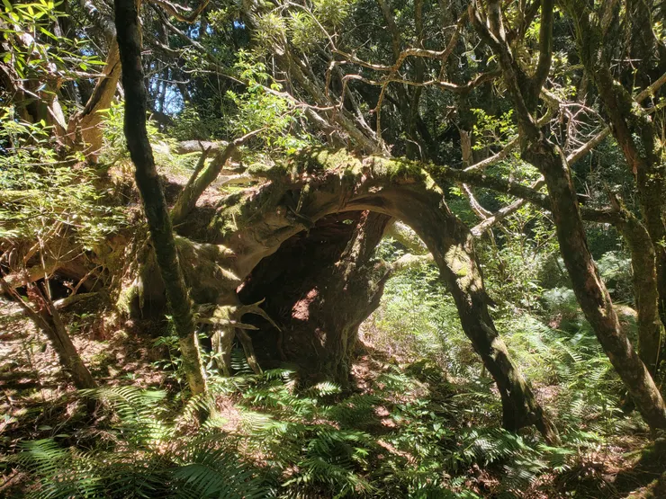 快來玩城門城門雞蛋糕