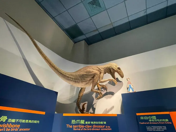 你知道威利也有其他好朋友嗎？