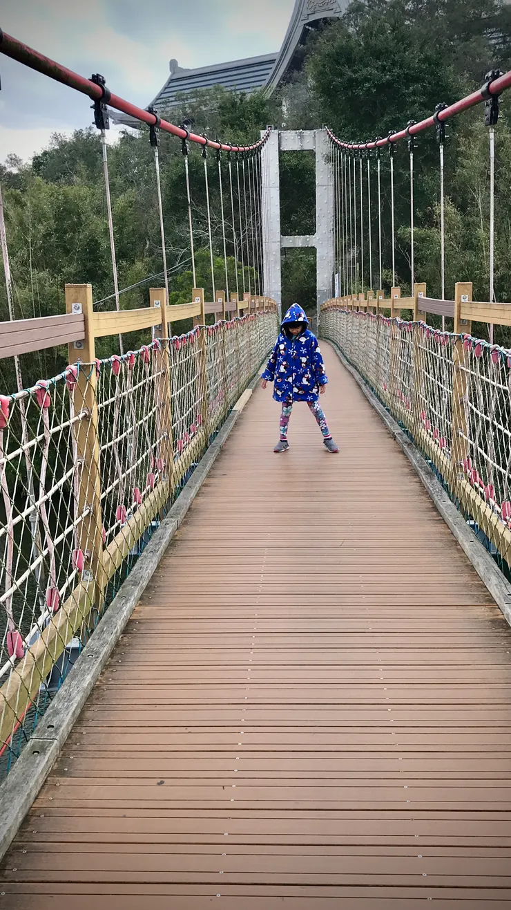 細茅埔吊橋