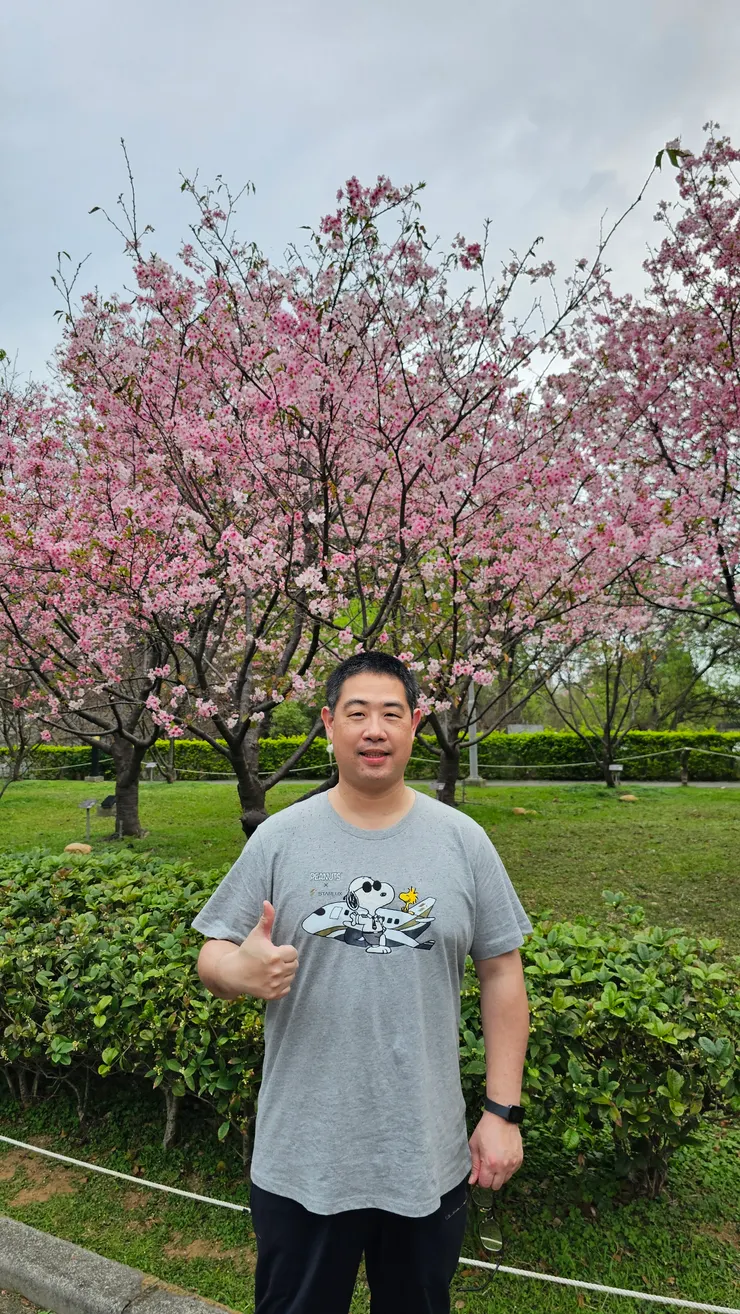 中央大學的櫻花一點都不會輸給日本!