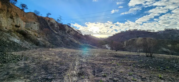 瓜佛的路線充滿各種可能性