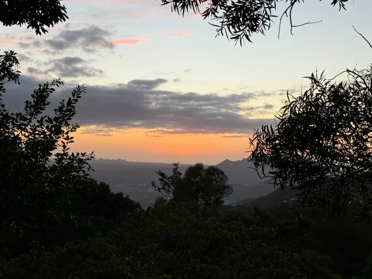 夜幕漸濃，又當麋鹿拍到的