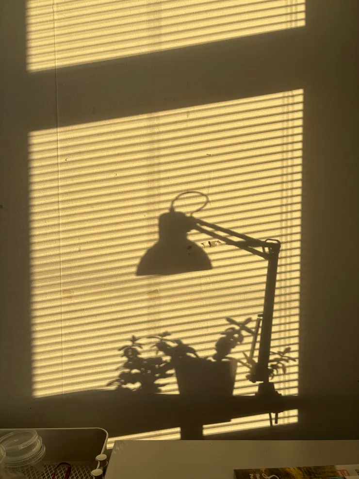 下午，房間一景。