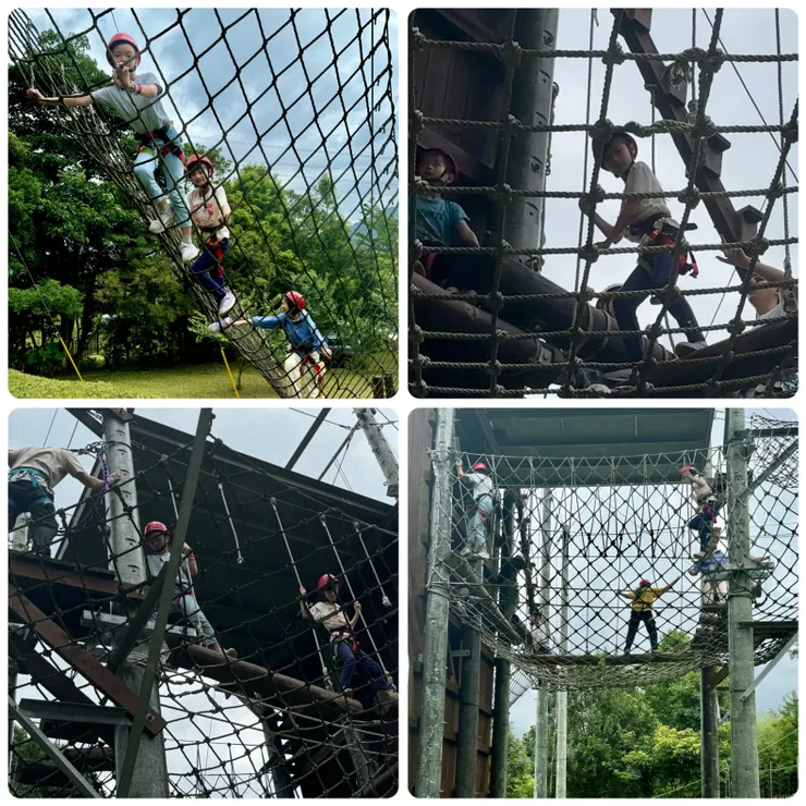 ▲ 拍照沒注意到逆光，非常可惜