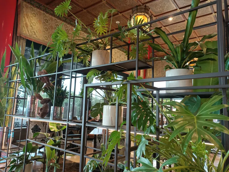 另外一面是餐廳，聽說下午茶很有名