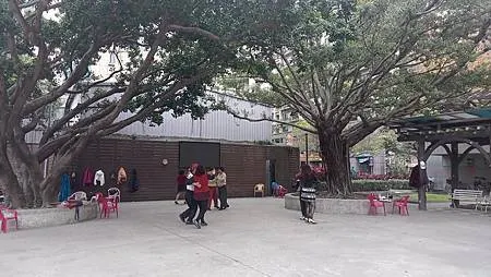 [新北旅遊]尼加拉瓜公園，都市叢林中休憩好地方、蘆洲區一個歷