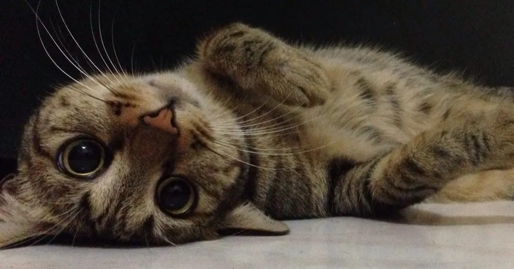 30迷茫女子的沙龍