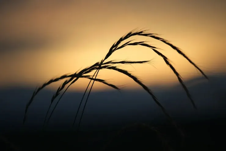 Photo by Lonely Photographer on Unsplash