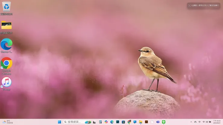 今天的電腦桌面