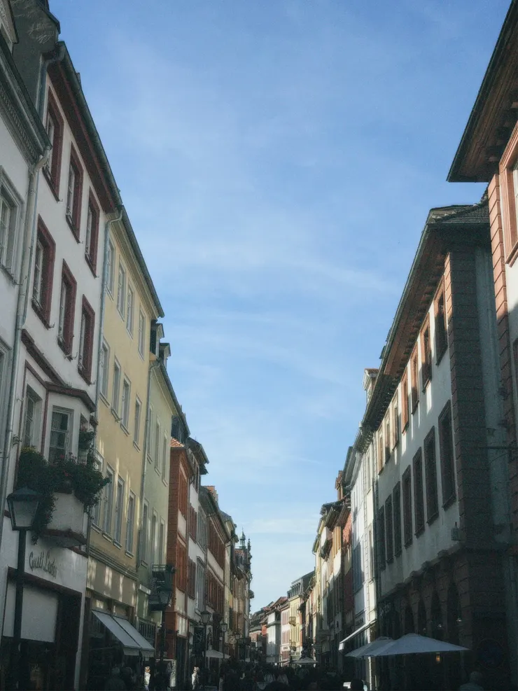 海德堡舊城區(Heidelberg Altstadt)