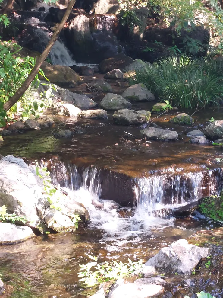 在庭園的池子中，時不時可以看見像這樣的小瀑布，真的有種進到山水畫中的樣子