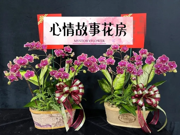 #台南花店 #鮮花 #蘭花 #玫瑰花 #永生花 #多肉植物 #盆栽 #花束 #花籃 #心情故事花房 