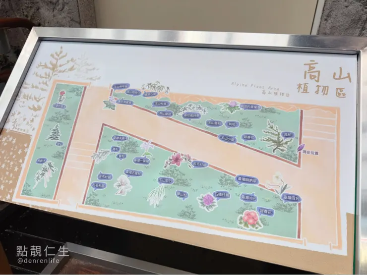 高山植物區｜台北典藏植物園