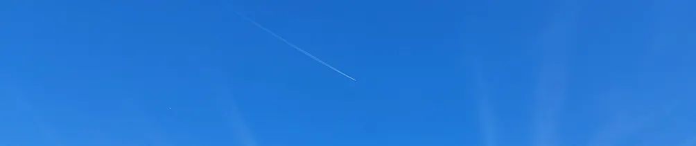 羅賓小書房的沙龍