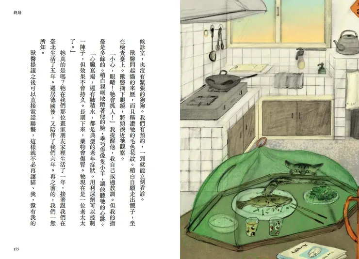 《異鄉人.臺灣貓》內頁/玉山社