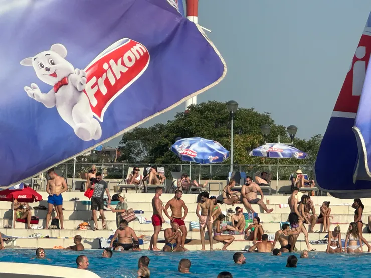 對於貝爾格勒市的印象有98%都是這隻熊(Frikom)