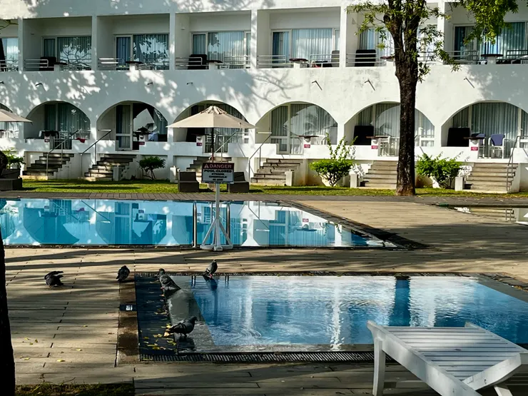 與自然共存的飯店，鴿子和烏鴉會輪流來泳池喝水