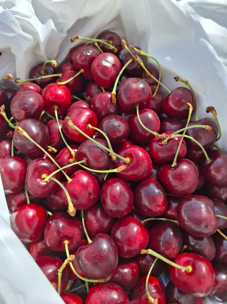 媽媽對妹妹的心意。