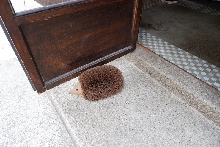 門口一隻可愛的刺蝟當門檔