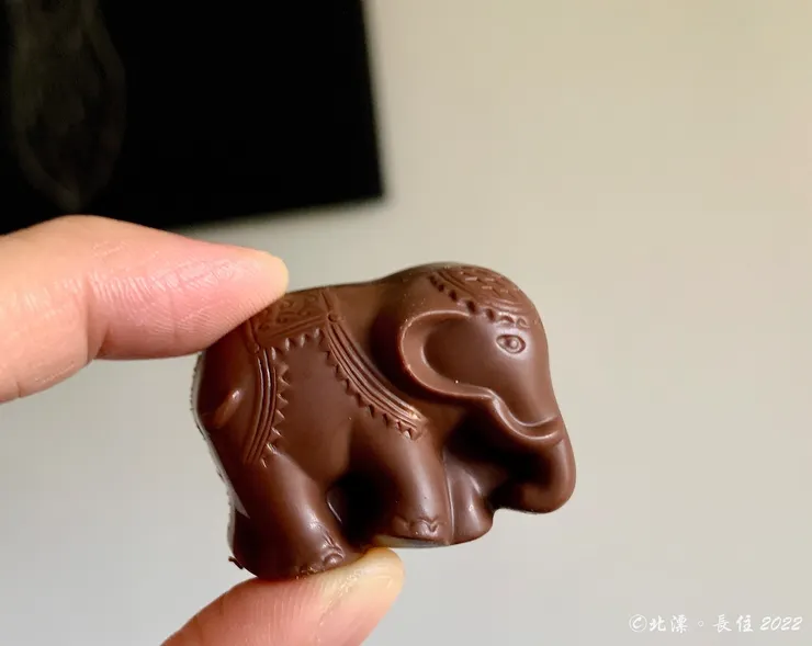 大象造型巧克力