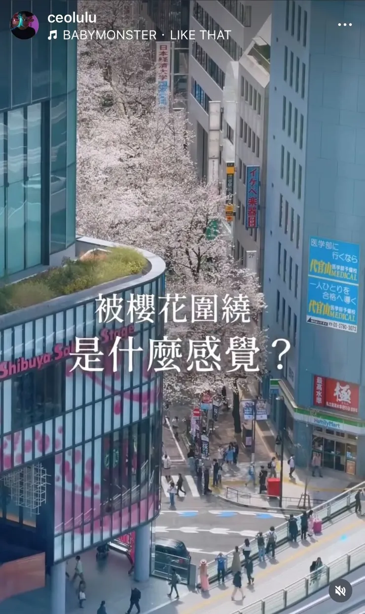 被櫻花包圍的感覺