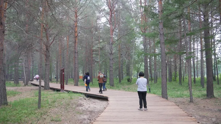 到處也是木造的步道，十分好走