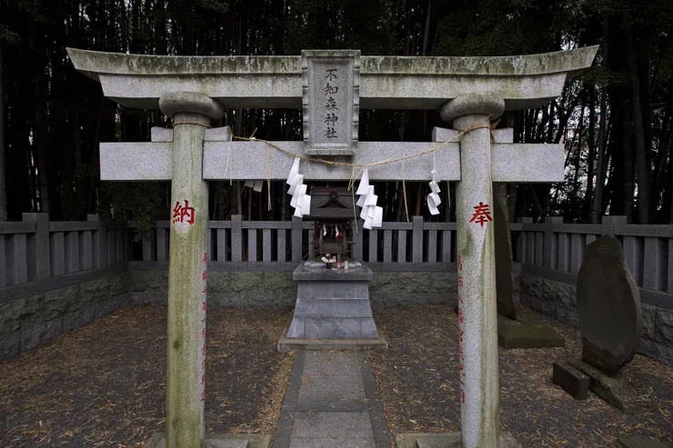 八幡不知藪／不知森神社（圖片來自： takape）