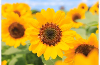 ~阿郎君~生活趣