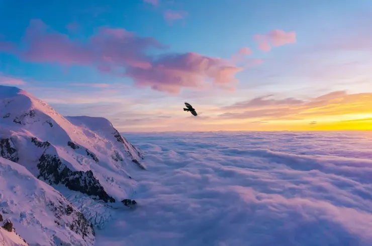 Photo by Sylvain Mauroux on Unsplash