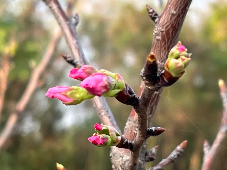 頭前溪河濱公園