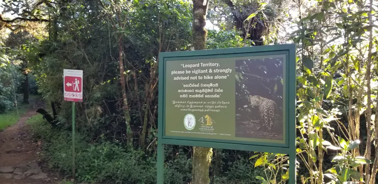 公園内有機會見到野生豹，游客要避免獨自在非主路上游走