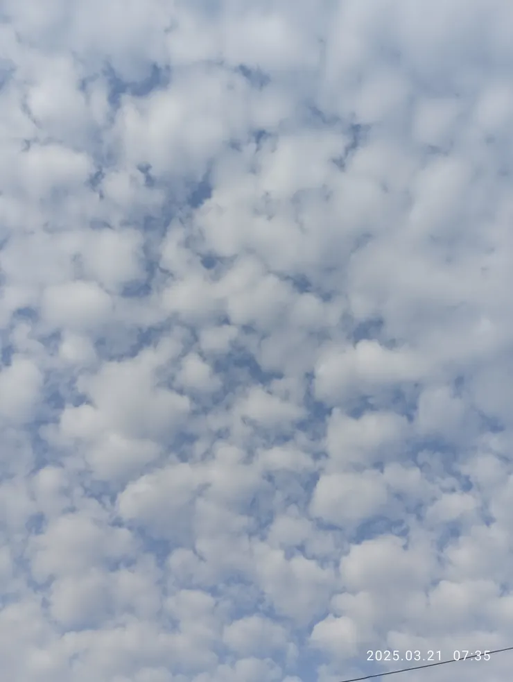 曉雲絮羽，自拍攝