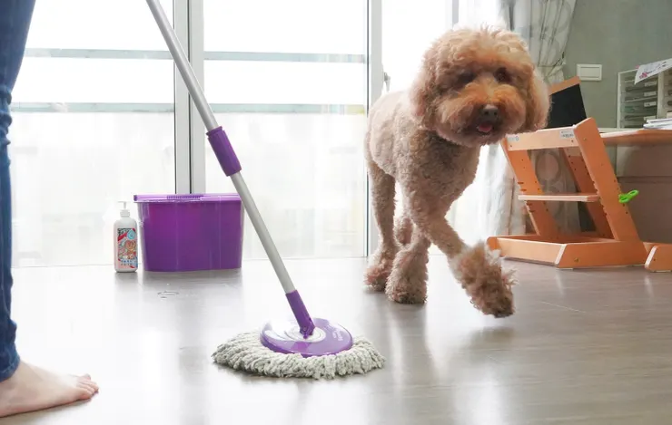 圖說:臭味滾地板清潔劑,經SGS、台美檢驗,清潔抑菌除臭一次完成,給毛孩與孩子乾淨安心的玩耍空間。(資料來源:臭味滾)